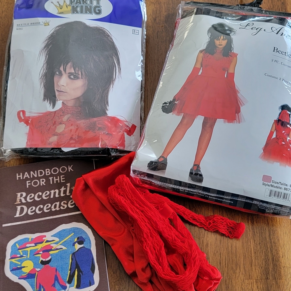 Lydia Deetz -Beetlejuice costume